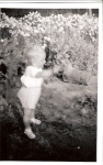 Gordon (2)